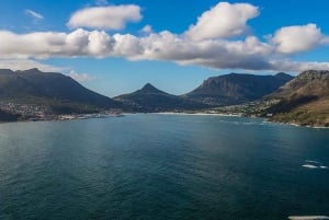 Kapkaupunki Yksityinen retki Hyvän toivon niemelle ja pingviineille