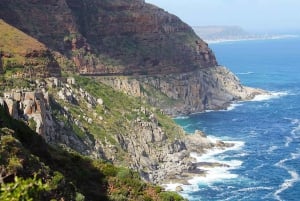 Kapkaupunki Yksityinen retki Hyvän toivon niemelle ja pingviineille