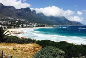 Kapkaupunki Yksityinen retki Hyvän toivon niemelle ja pingviineille