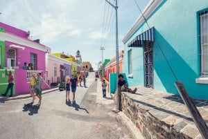 Kapkaupunki Yksityinen retki Hyvän toivon niemelle ja pingviineille