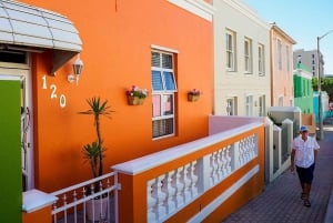 Kapkaupunki Yksityinen retki Hyvän toivon niemelle ja pingviineille