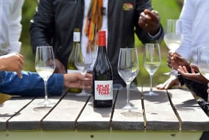 Kapkaupunki Yksityinen retki Hyvän toivon niemelle ja pingviineille