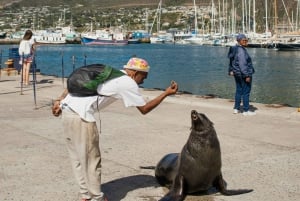 Cidade do Cabo: tour particular com itinerário personalizável