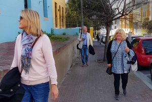 Città del Capo: tour privato a piedi con guida di lingua svedese