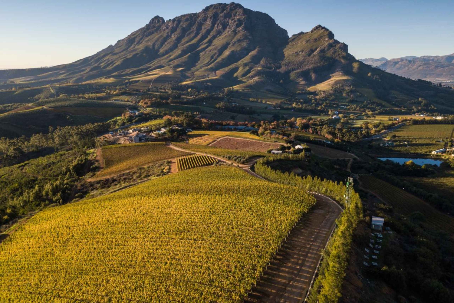 Cape Town: Privat vintur med smagninger og frokost