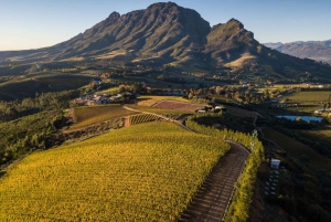 Cape Town: Privat vintur med smagninger og frokost