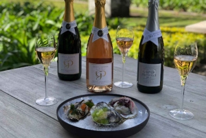 Cape Town: Privat vintur med smagninger og frokost