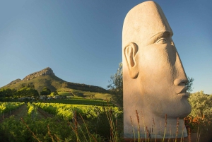 Cape Town: Privat vintur med smagninger og frokost