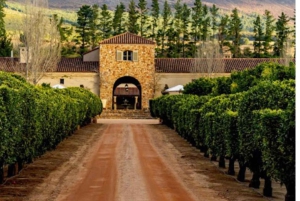 Ciudad del Cabo: tour privado por los viñedos con catas y almuerzo