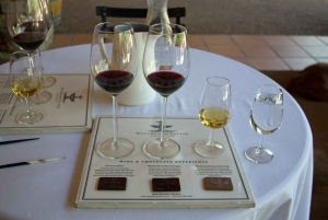 Ciudad del Cabo: tour privado por los viñedos con catas y almuerzo