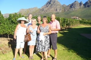 Cidade do Cabo: excursão privada ao vinho