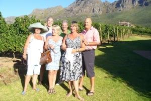 Cape Town: Private Wine Tour