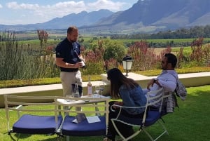 Cape Town: Private Wine Tour