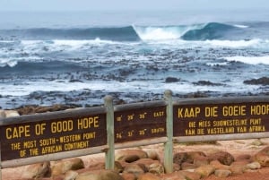 Kapstaden: Privat vinlandstur, Taffelberget och CapePoint