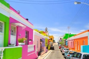 Kapstaden: Privat vinlandstur, Taffelberget och CapePoint