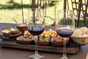 Kapstaden: Privat vinlandstur, Taffelberget och CapePoint