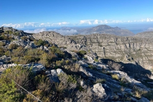 Tour privado del Mundo de las Aves de Ciudad del Cabo con más de 3000 aves.