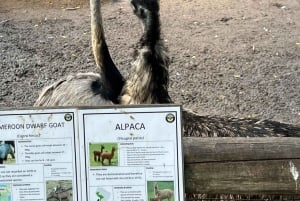 Tour privado del Mundo de las Aves de Ciudad del Cabo con más de 3000 aves.