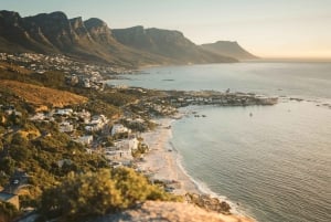 Cape Town: Professionally Curated Tour with Local Guide