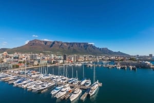 Cape Town: Professionally Curated Tour with Local Guide