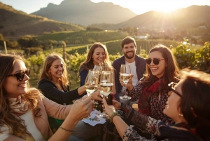 Cape Town: Professionally Curated Tour with Local Guide