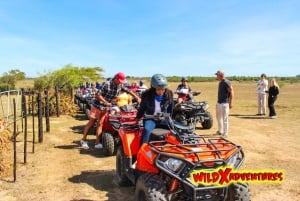 CIUDAD DEL CABO: PASEO EN QUAD POR EL RANCHO DEL AVESTRUZ, DURBANVILLE