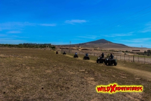 ケープタウン：ダーバンビルのダチョウ牧場でクアッドバイクの楽しいライド
