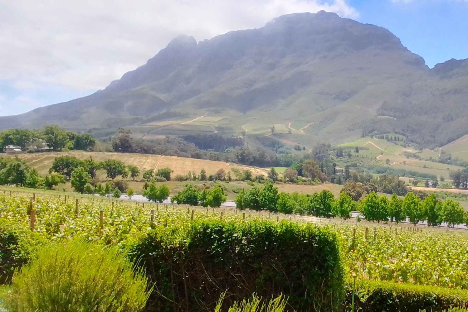 ケープタウン：四輪バギー、オーストリッチファーム、ワインツアーをお楽しみください