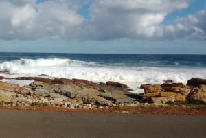 ケープタウン：四輪バギー、オーストリッチファーム、ワインツアーをお楽しみください