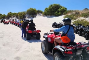 Quad biking Cape Town Atlantis Dunes