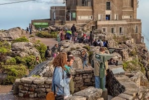 Cape Town: Guidet heldagstur i Queer Mother City