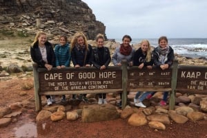 Cape Town: Avslappende dagstur rundt Kapphalvøya