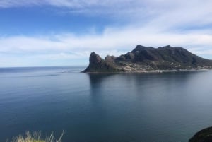 Kapstadt: Entspannende Tagestour um die Kap-Halbinsel