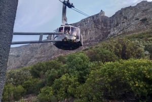 Cape Town: Privat tur til Robben Island og Taffelbjerget