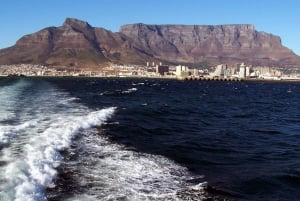 Cape Town: Privat tur til Robben Island og Taffelbjerget