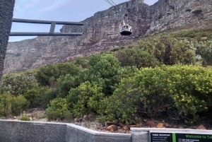 Kapkaupunki: Robben Island ja Pöytävuori