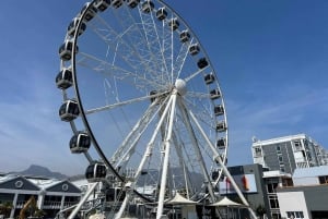 ケープタウンロベン島とテーブルマウンテン・ツアー