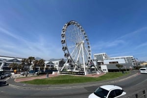 ケープタウンロベン島とテーブルマウンテン・ツアー