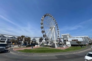 ケープタウンロベン島とテーブルマウンテン・ツアー