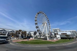 ケープタウンロベン島とテーブルマウンテン・ツアー