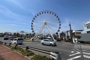 ケープタウンロベン島とテーブルマウンテン・ツアー