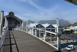 ケープタウンロベン島とテーブルマウンテン・ツアー