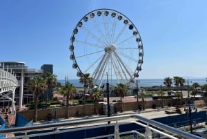 ケープタウンロベン島とテーブルマウンテン・ツアー