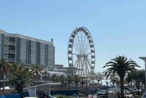 ケープタウンロベン島とテーブルマウンテン・ツアー