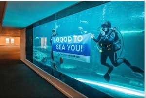 Kapstadt: Robben Island und Two Oceans Aquarium Tagestour