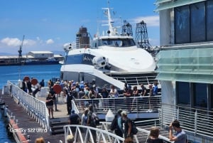 Città del Capo: Robben Island, Bo-Kaap e tour della fabbrica di diamanti