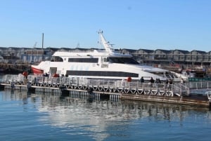 Cape Town: Robben Island & Diamond Museum w\Hotel Transfer