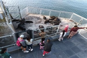 Cidade do Cabo: Robben Island e Museu do Diamante com traslado para o hotel