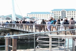 Cidade do Cabo: Robben Island e Museu do Diamante com traslado para o hotel