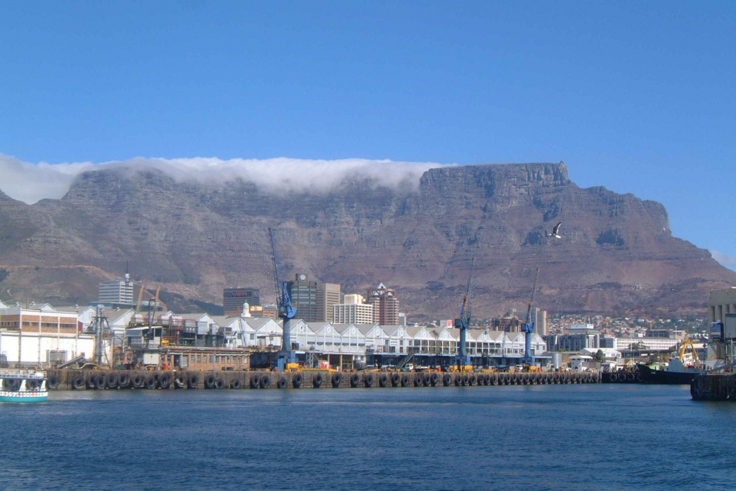 Cape Town: Robben Island Discovery Tour with Hotel Pickup